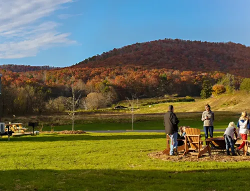 Life in a Tiny Home: Stories from Acony Bell